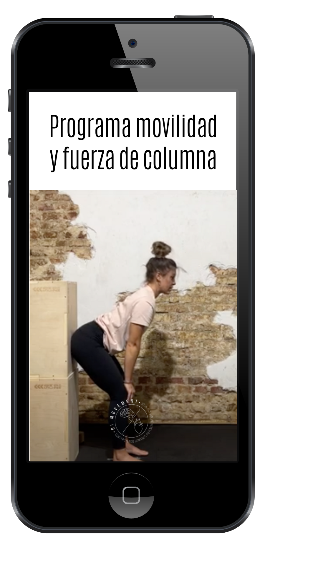 Programa movilidad y fuerza de columna